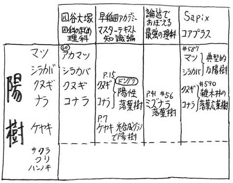 陽樹 種類